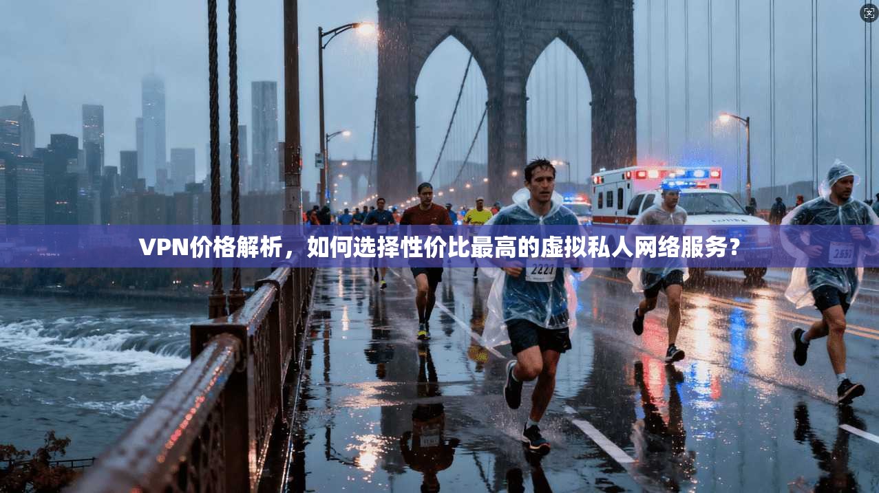 VPN价格解析，如何选择性价比最高的虚拟私人网络服务？