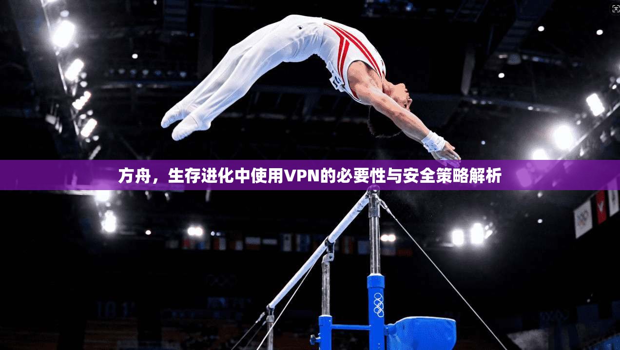 方舟,生存进化中使用VPN的必要性与安全策略解析