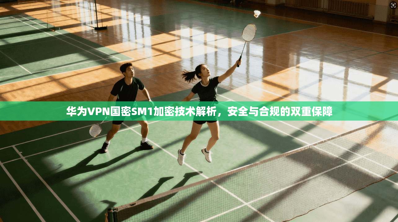 华为VPN国密SM1加密技术解析，安全与合规的双重保障