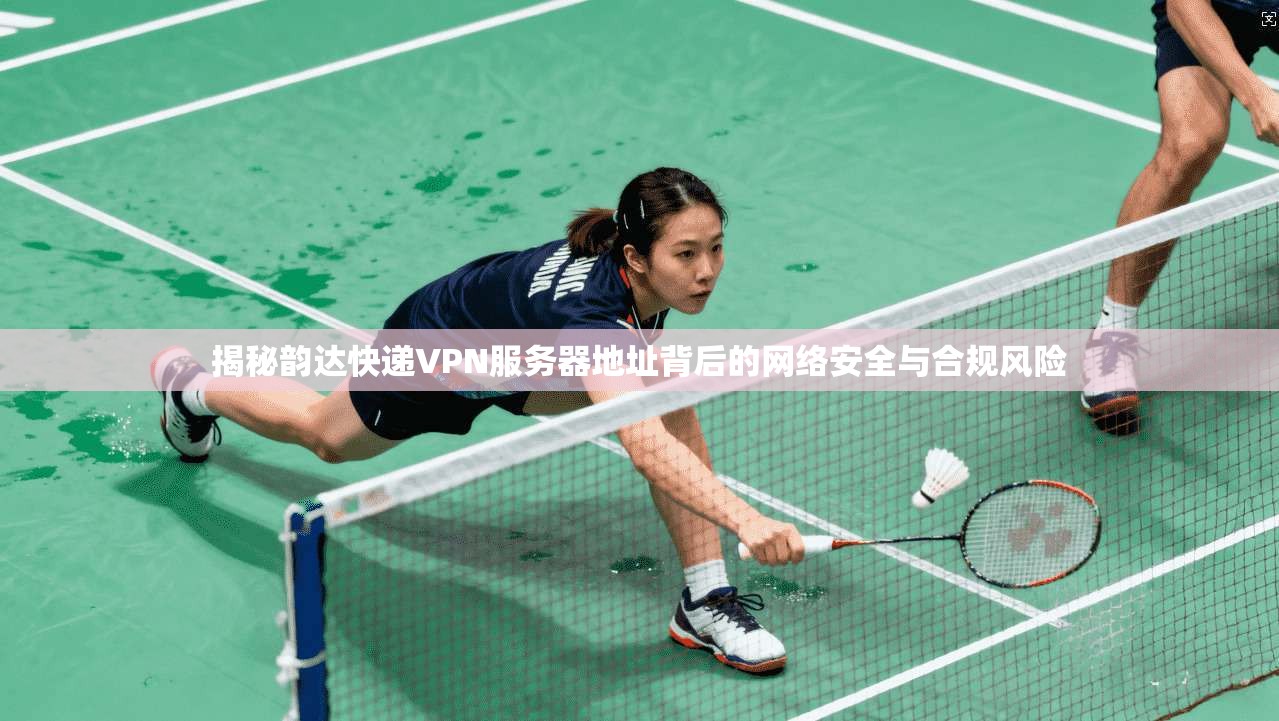 揭秘韵达快递VPN服务器地址背后的网络安全与合规风险
