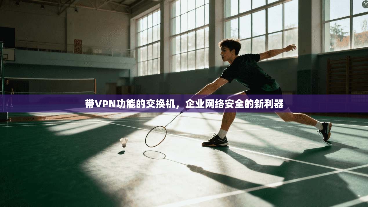 带VPN功能的交换机，企业网络安全的新利器