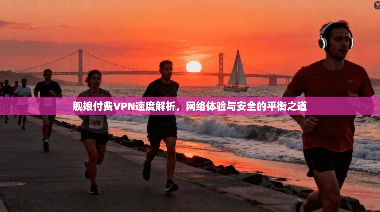 舰娘付费VPN速度解析，网络体验与安全的平衡之道
