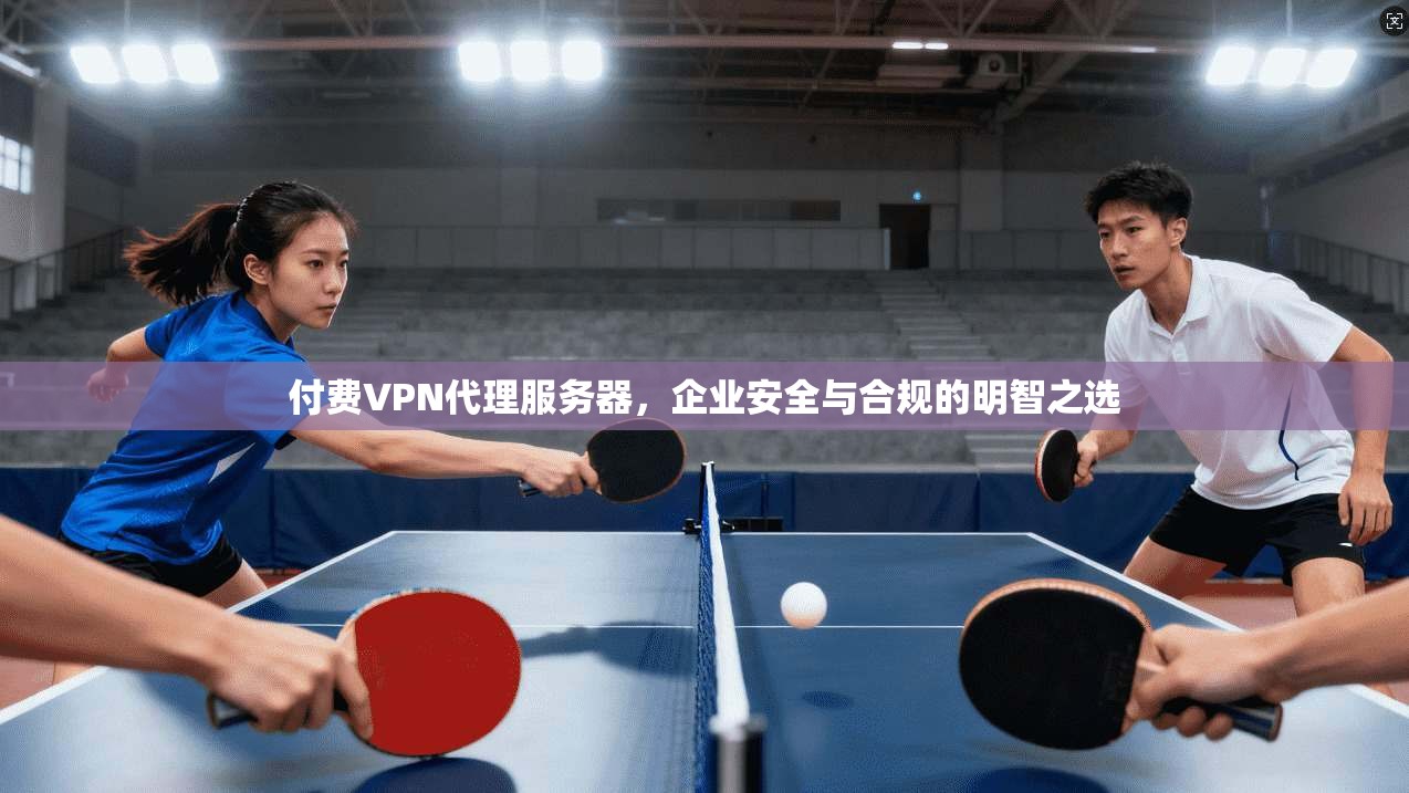 付费VPN代理服务器,企业安全与合规的明智之选