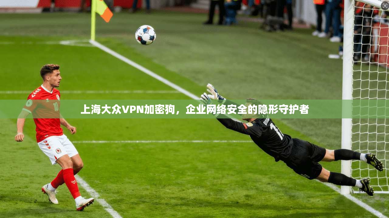 上海大众VPN加密狗，企业网络安全的隐形守护者