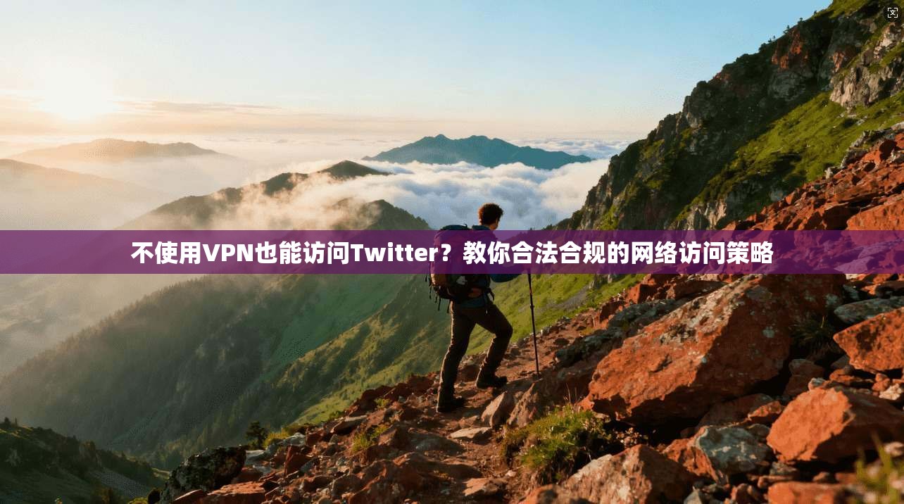 不使用VPN也能访问Twitter？教你合法合规的网络访问策略