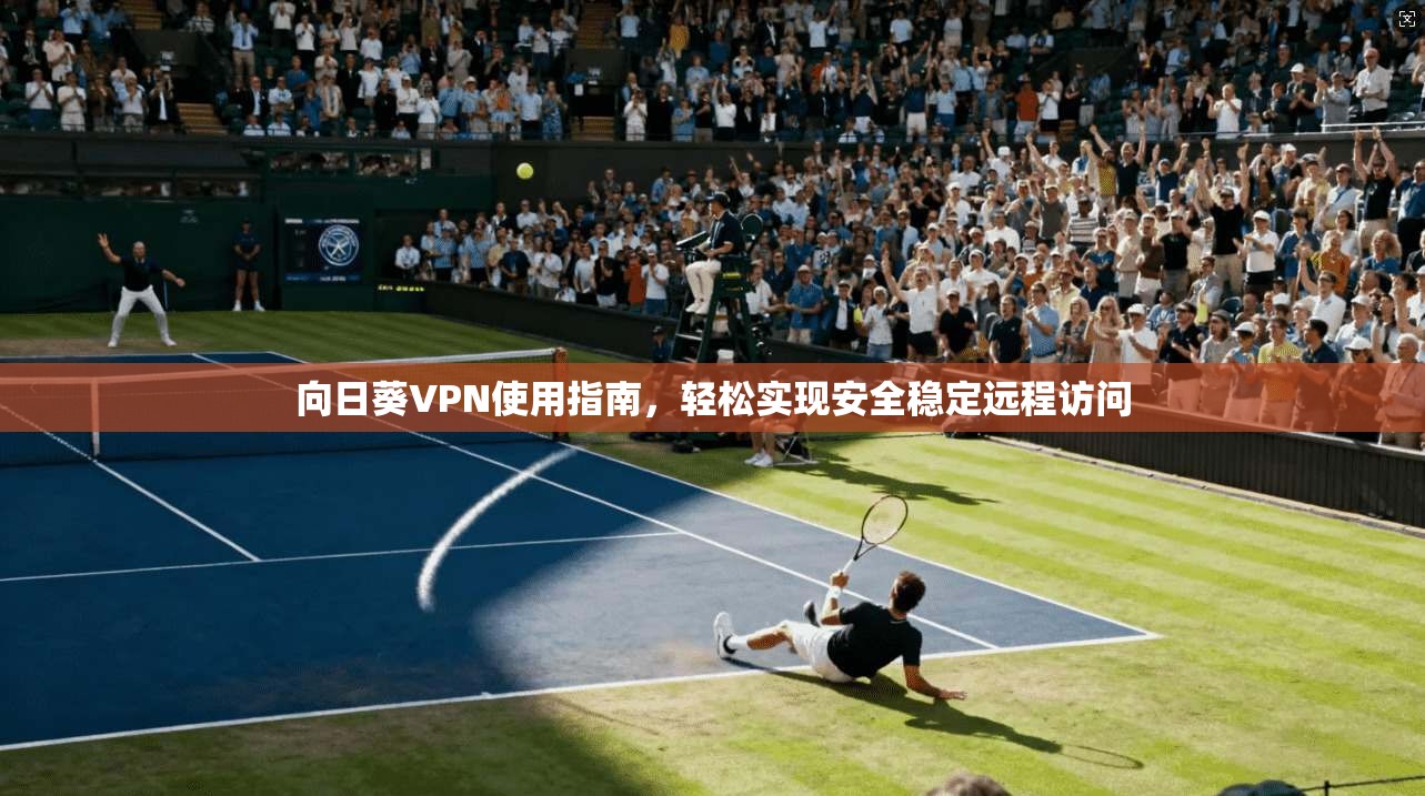 向日葵VPN使用指南,轻松实现安全稳定远程访问