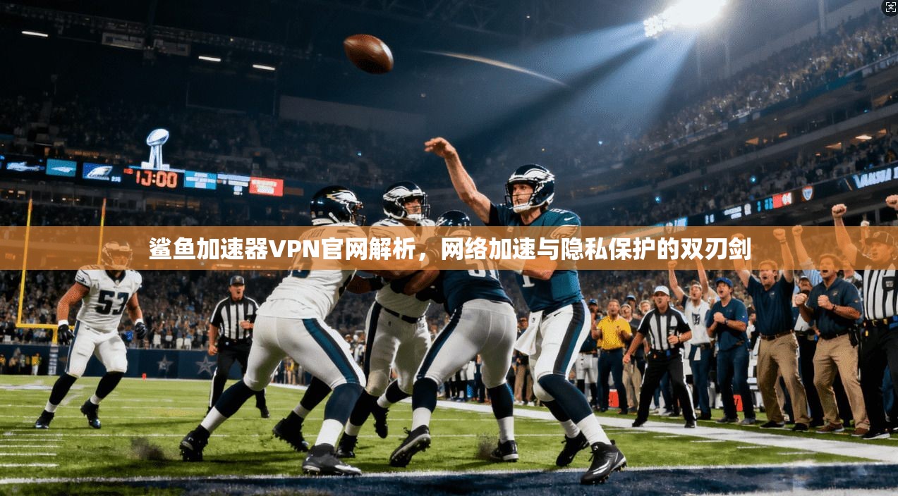 鲨鱼加速器VPN官网解析，网络加速与隐私保护的双刃剑