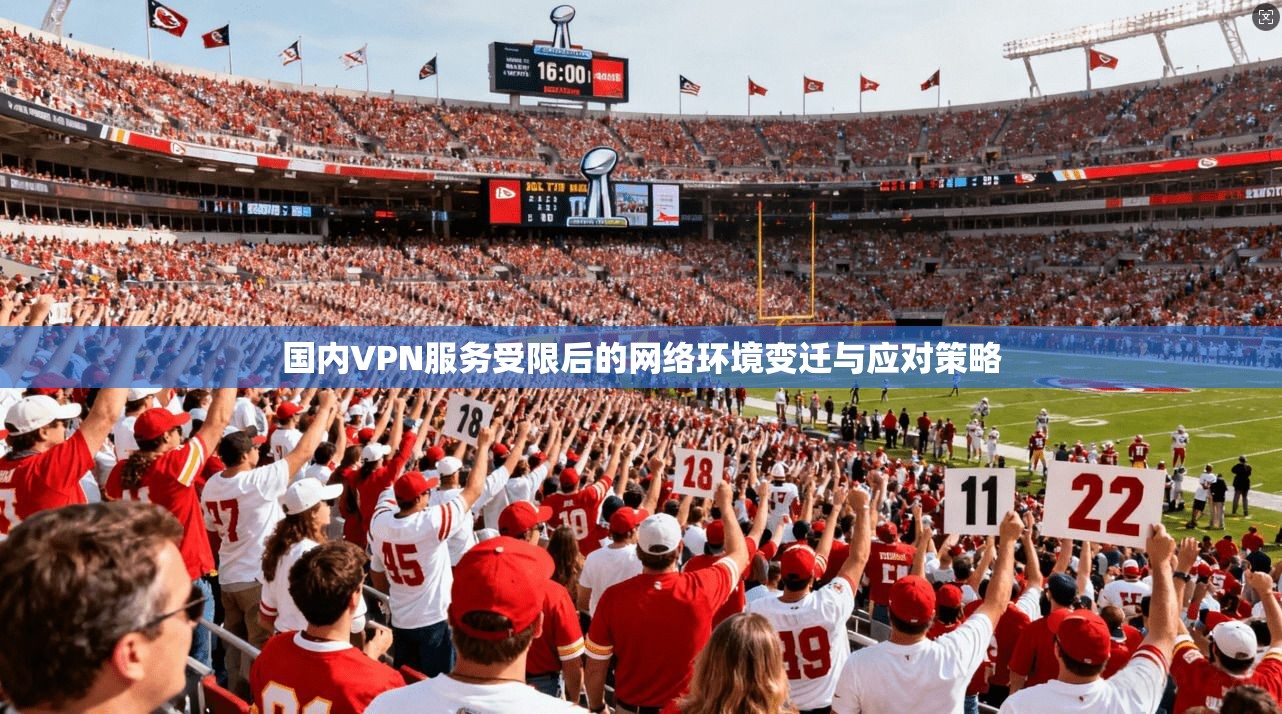 国内VPN服务受限后的网络环境变迁与应对策略