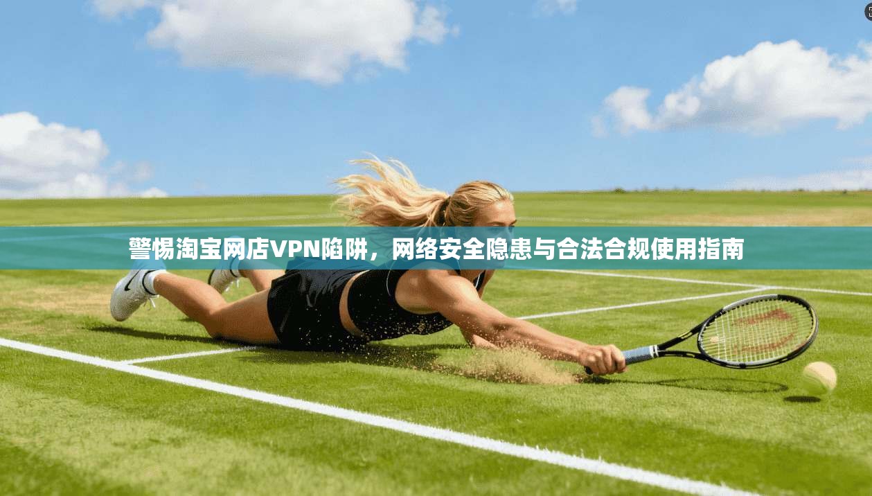 警惕淘宝网店VPN陷阱,网络安全隐患与合法合规使用指南