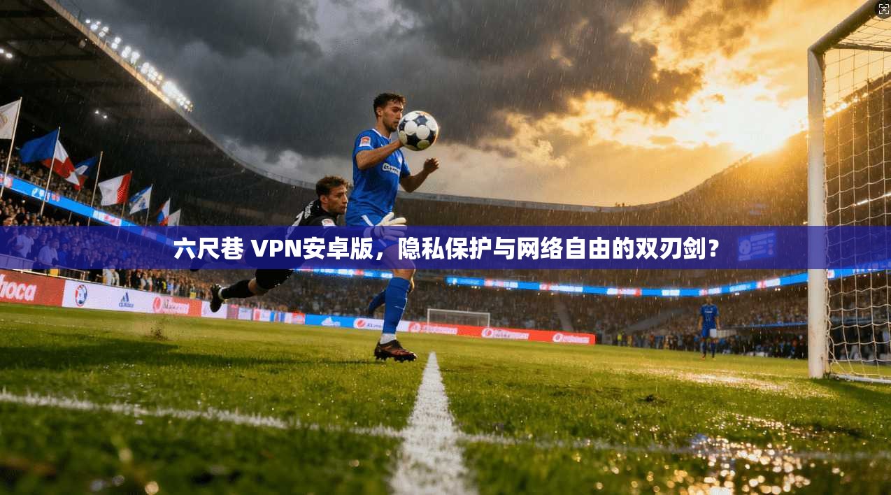 六尺巷 VPN安卓版，隐私保护与网络自由的双刃剑？