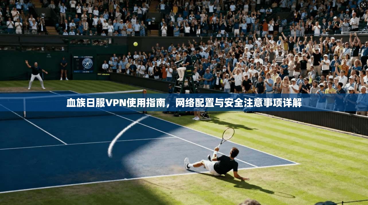 血族日服VPN使用指南,网络配置与安全注意事项详解