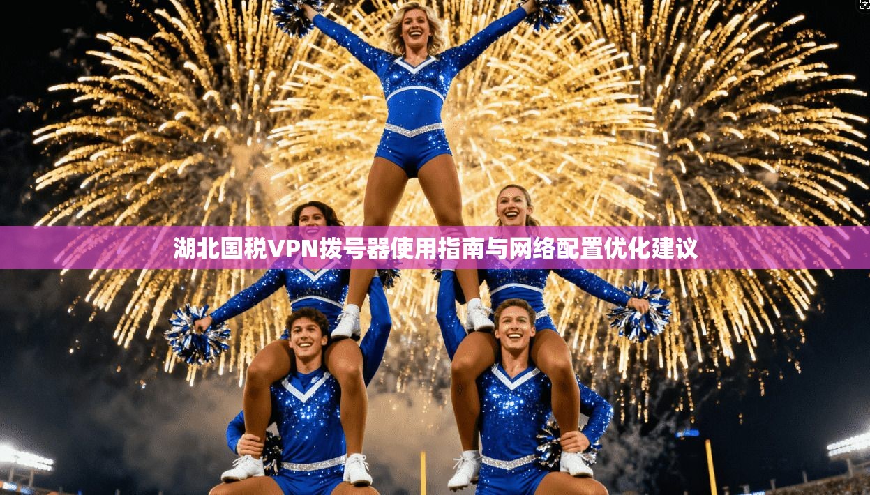 湖北国税VPN拨号器使用指南与网络配置优化建议