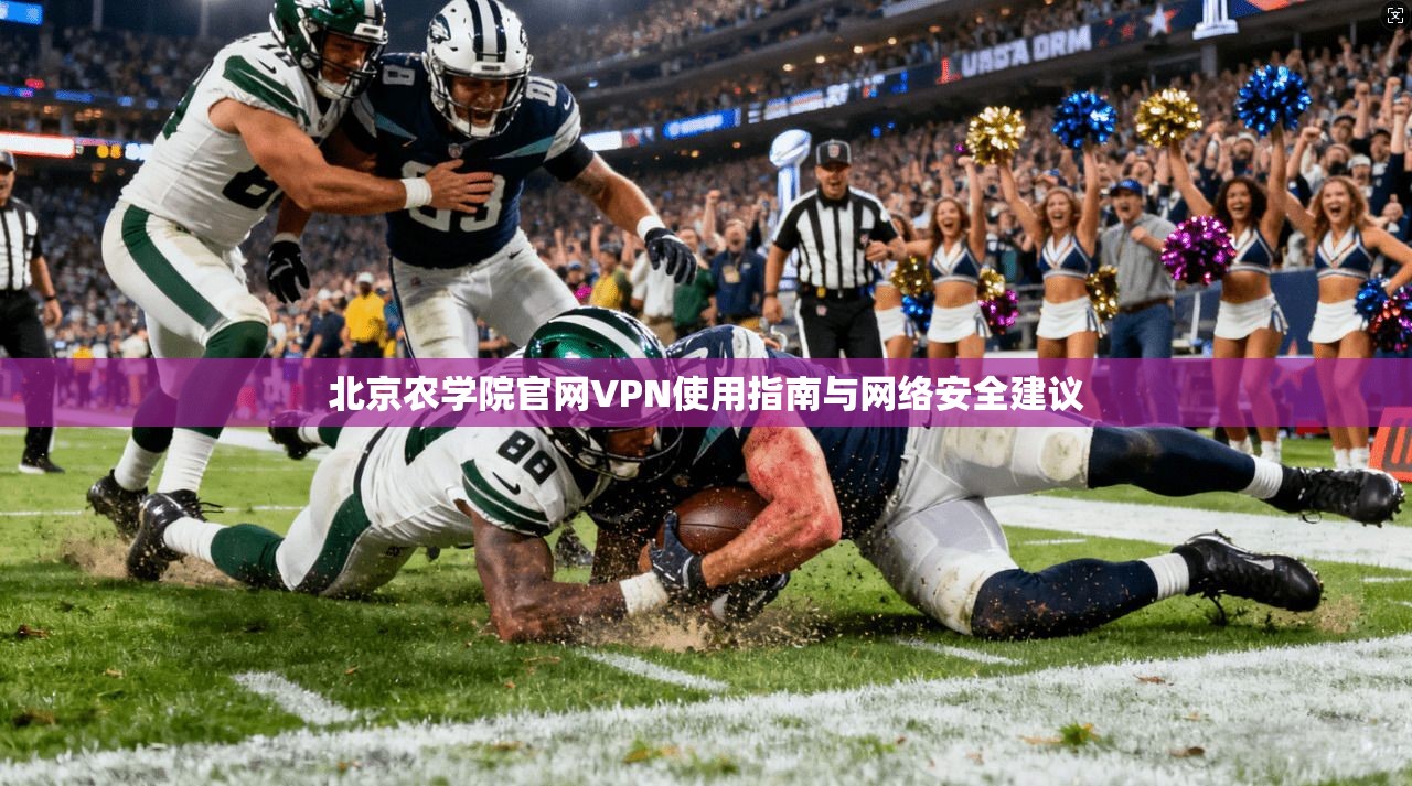 北京农学院官网VPN使用指南与网络安全建议