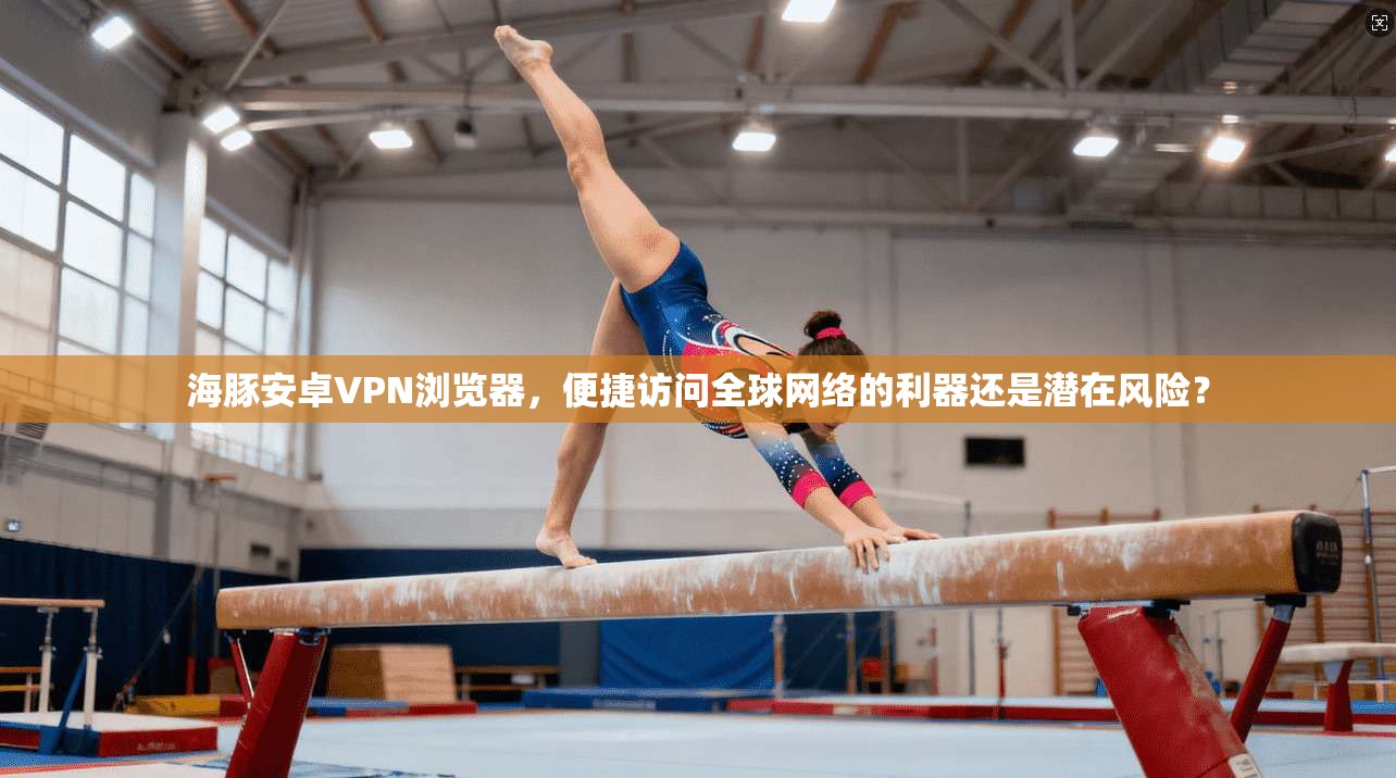 海豚安卓VPN浏览器,便捷访问全球网络的利器还是潜在风险?